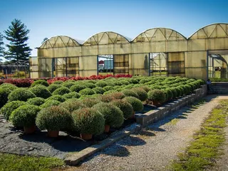 Red Barn Nursery