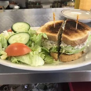 White albacore tuna sandwich