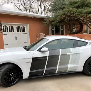 Couldn't be more happy with our Mustang!This company is professional and provides an end product which will make you smile.Highly recommend!