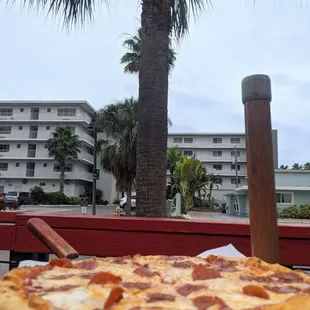 a view of a palm tree