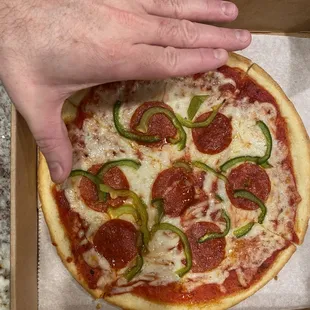 Tiny Mini-Pizza: Over $17 !