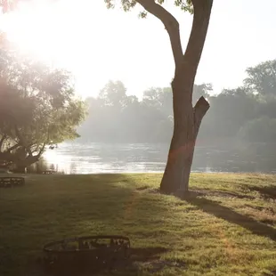 Sunrise on the King's RIver at Club Royal Oak RV Resort