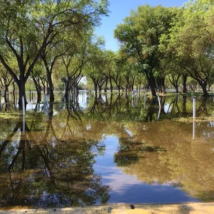 Be prepared to get screwed over by these people they're crooks, and this is what our campground looked like when they canceled our spots