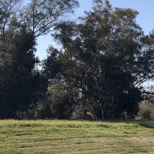 My site outside my door