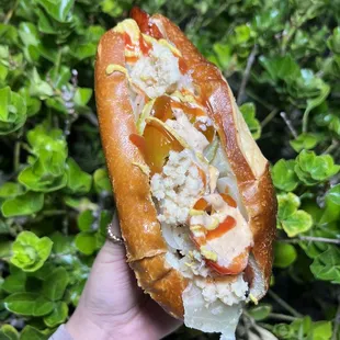  hand holding a sandwich