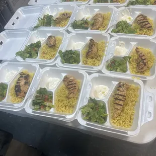 125 place of chicken Kebab Pita with Rice