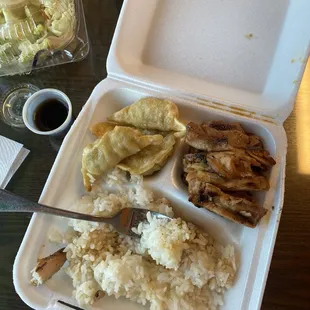 Chicken Teriyaki &amp; Gyoza , Salad