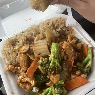 Chicken with Garlic Sauce lunch special