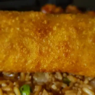 OMG full size egg roll
