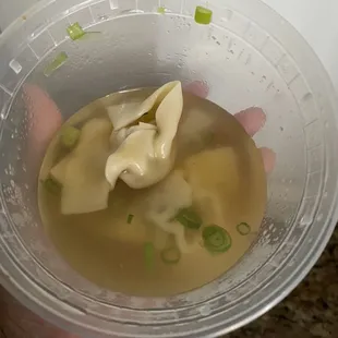 Wonton Soup