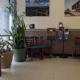 a view of a restaurant from the dining room