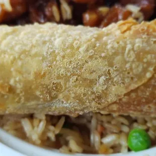 Med size egg roll compared to the good old days with full size egg rolls