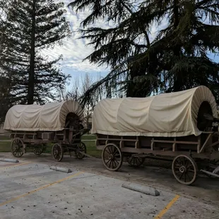 Conestoga Wagons. Probably replicas.