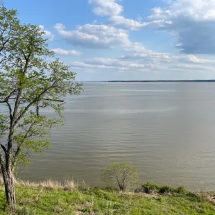 View from building 11, Room 5151