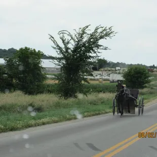 a horse and buggy on a country road