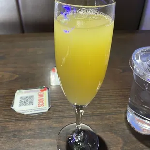 Mimosa...YUCK!