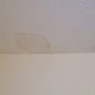 Water stains on ceiling. Mold was present--apt complex painted over