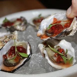 The Kusshi Oysters were served with Barberry Mignonette.
 
 The Kusshi Oysters were mildly briny with a delicate fruity finish - fresh AF.