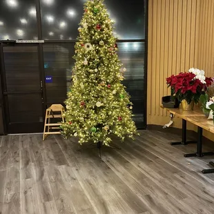 Pretty Christmas Tree