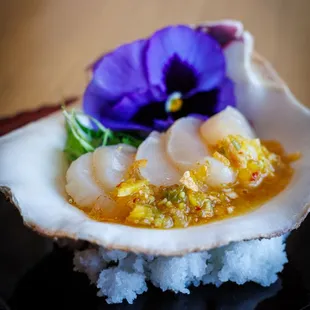 sushi, sashimi, sushi and sashimi, food