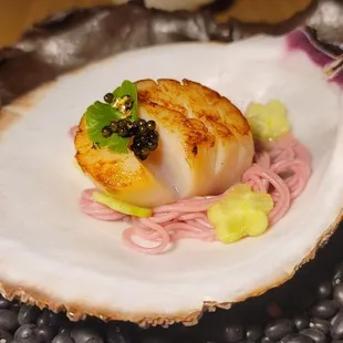 Scallop