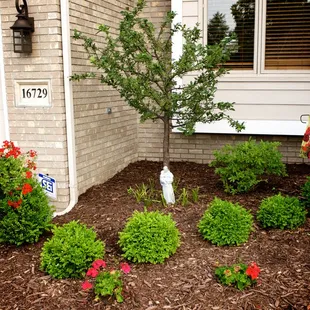 Planting bed