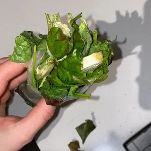 a person holding a bowl of lettuce