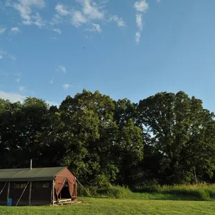 Copyright www.featherdown.com