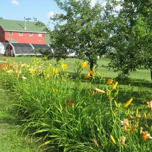 Copyright www.featherdown.com