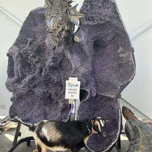 Amethyst and live goat