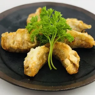 Fried Gyoza