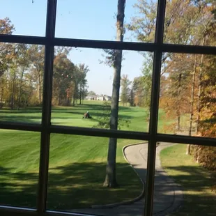 View from the treadmills in the workout area