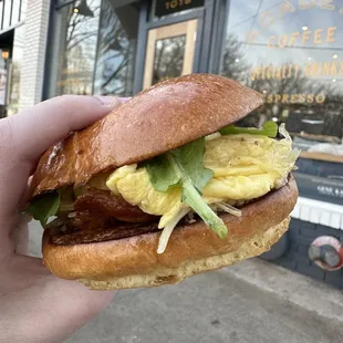 Single bacon egg and cheese breakfast sandwich