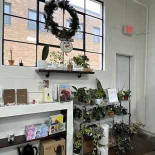 Plants and art work for sale