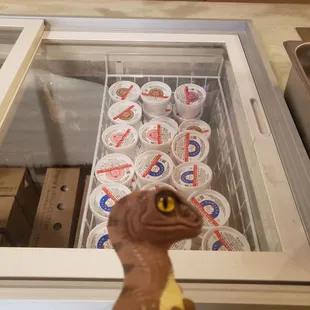 Joe the Raptor says "If Y'all ain't into meat these Mammal got Ice cream!"