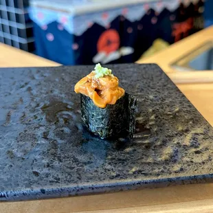 Hokkaido Uni