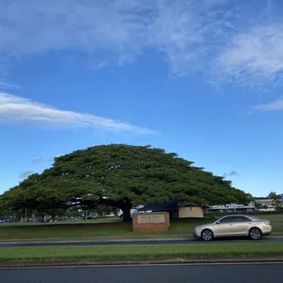 Kipapa Neighborhood Park