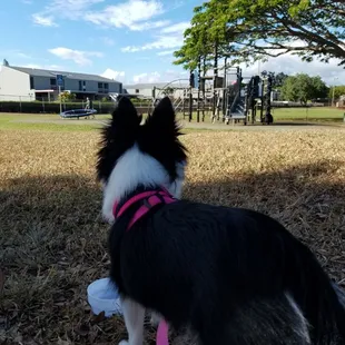 Love the park, don&apos;t always like the crowd