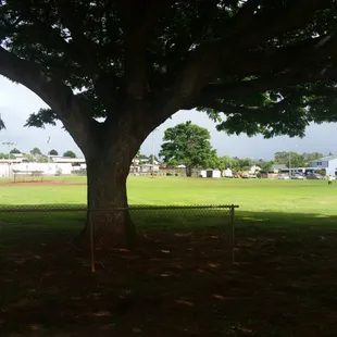 Baseball field