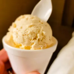 Apple Pie Ice Cream