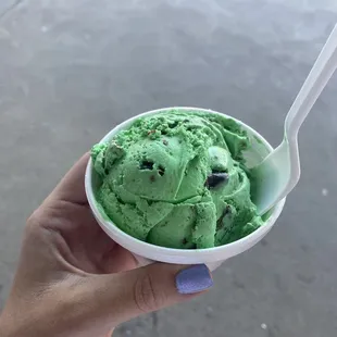 Thin mint ice cream