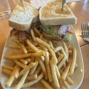 Avocado BLT- fries were lukewarm ,sandwich too big and a little dry