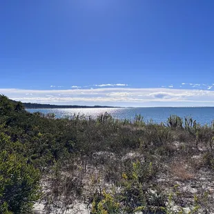 Chesapeake Bay