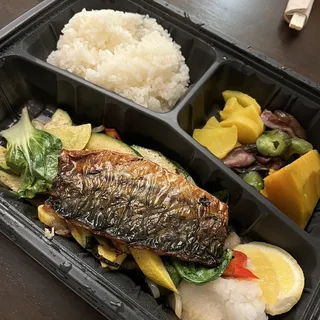 Saba Bento Box