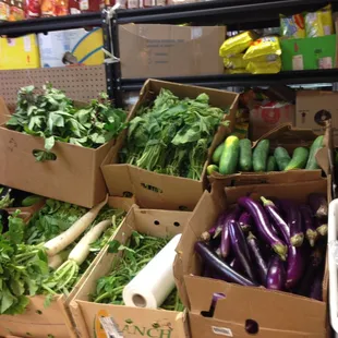 fresh veggie on weekends