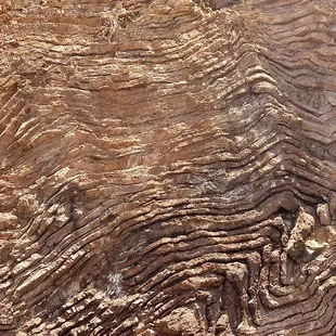 The beauty of the many layers of chert