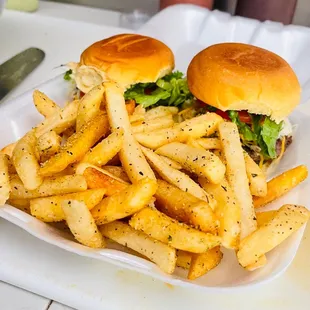 a plate of fries and a sandwich