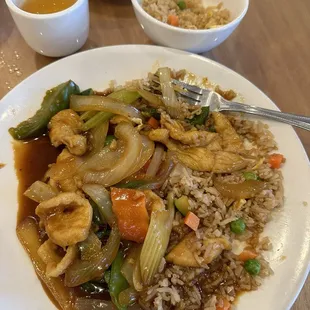 Schezwan Spicy Chicken and Fried Rice