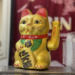 a gold cat