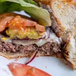 Big Kirk cross-section